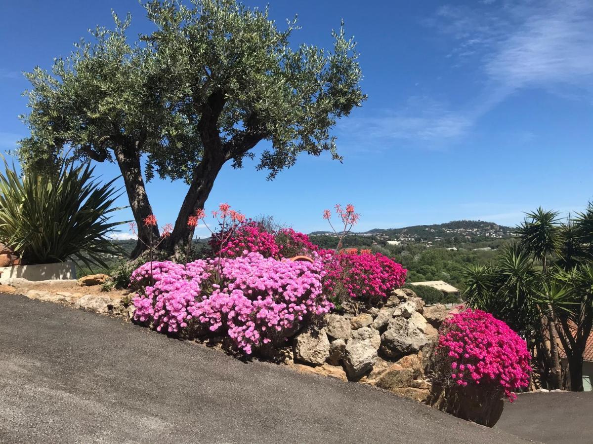 3 Bedrooms Villa Near Cannes - Pool & Jacuzzi - Sea View Mandelieu Zewnętrze zdjęcie