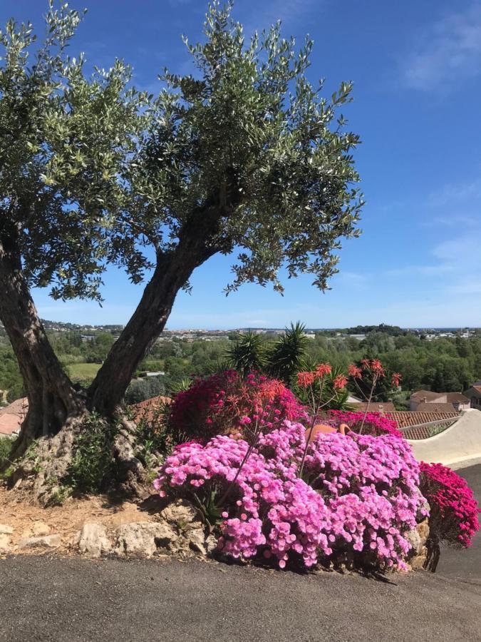 3 Bedrooms Villa Near Cannes - Pool & Jacuzzi - Sea View Mandelieu Zewnętrze zdjęcie